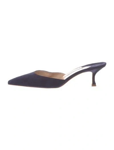 Pre-owned Manolo Blahnik Suede Mules In Blue