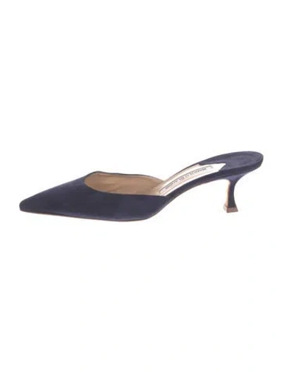 Pre-owned Manolo Blahnik Suede Mules In Blue