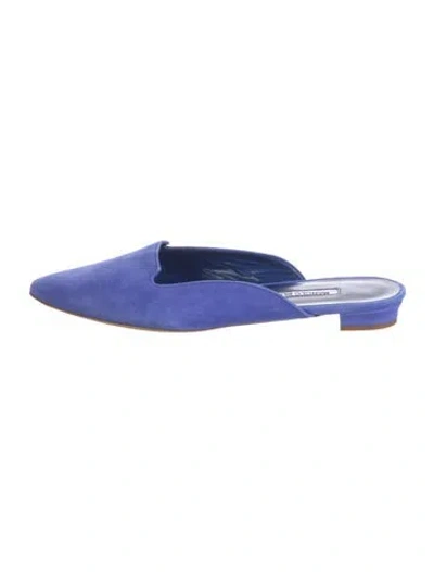 Pre-owned Manolo Blahnik Suede Mules In Blue