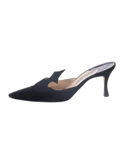Pre-owned Manolo Blahnik Suede Mules In Blue