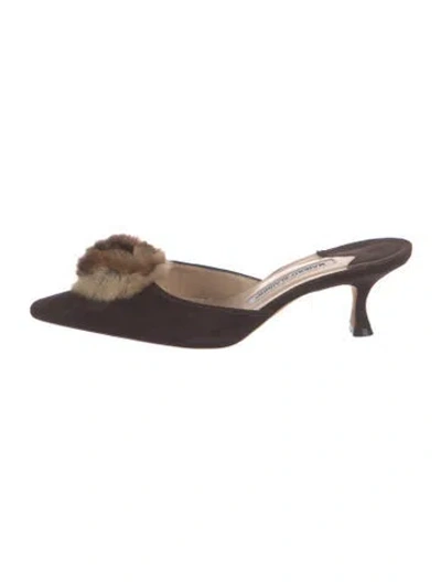 Pre-owned Manolo Blahnik Suede Mules In Brown