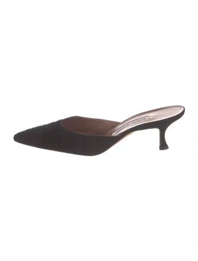 Pre-owned Manolo Blahnik Suede Mules In Brown