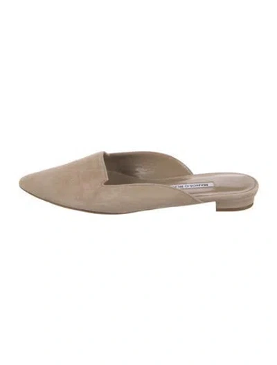 Pre-owned Manolo Blahnik Suede Mules In Neutral