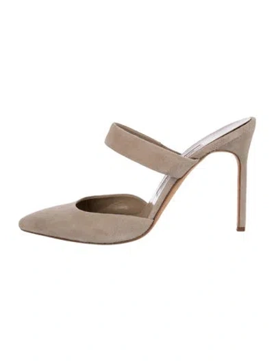 Pre-owned Manolo Blahnik Suede Mules In Neutral