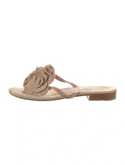 Pre-owned Manolo Blahnik Suede Mules In Neutral