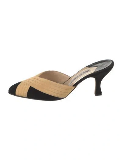 Pre-owned Manolo Blahnik Suede Mules In Neutrals