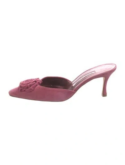 Pre-owned Manolo Blahnik Suede Mules In Purple