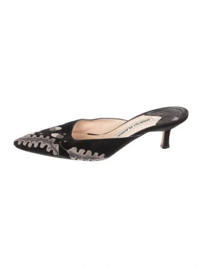 Pre-owned Manolo Blahnik Suede Patterned Mules In Multi