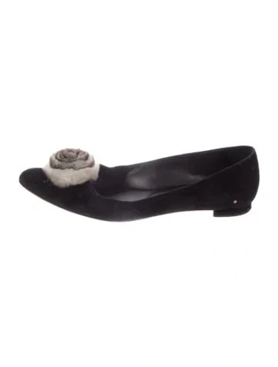 Pre-owned Manolo Blahnik Suede Pom-pom Embellishments Ballet Flats In Blue