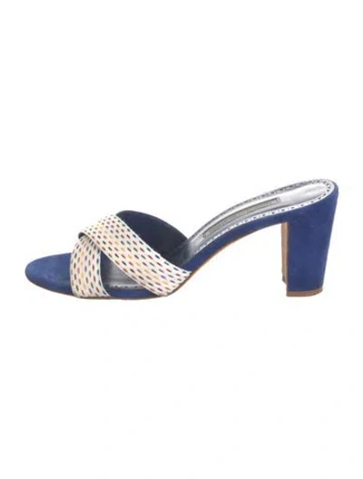 Pre-owned Manolo Blahnik Suede Printed Slides In Blue