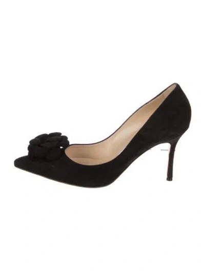Pre-owned Manolo Blahnik Suede Pumps In Black
