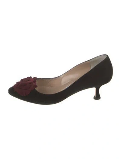 Pre-owned Manolo Blahnik Suede Pumps In Black