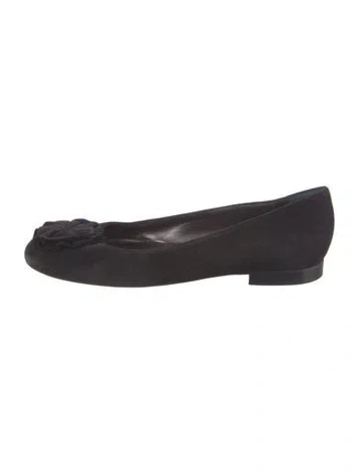 Pre-owned Manolo Blahnik Suede Ruffle Embellishment Flats In Black