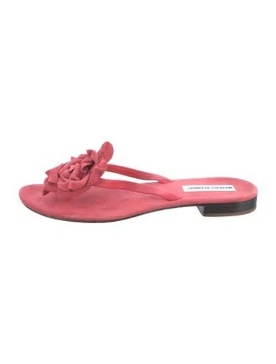 Pre-owned Manolo Blahnik Suede Ruffle Embellishment Flip Flops In Red
