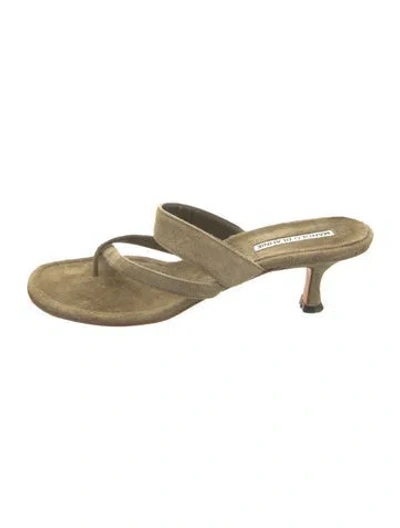 Pre-owned Manolo Blahnik Suede Sandals In Green