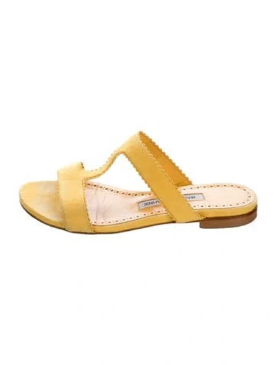 Pre-owned Manolo Blahnik Suede Scalloped Accent Slides In Yellow