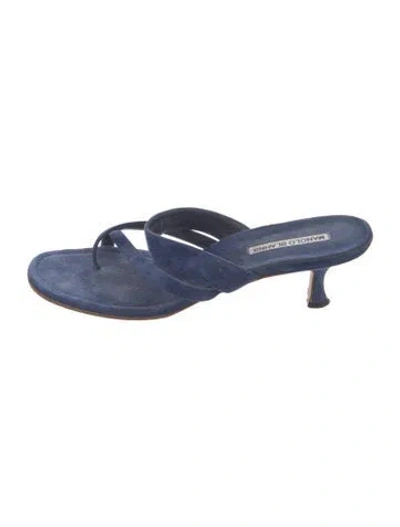 Pre-owned Manolo Blahnik Suede Slides In Blue