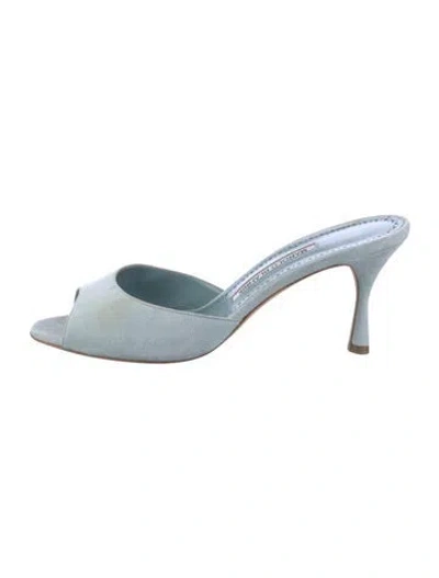 Pre-owned Manolo Blahnik Suede Slides In Blue