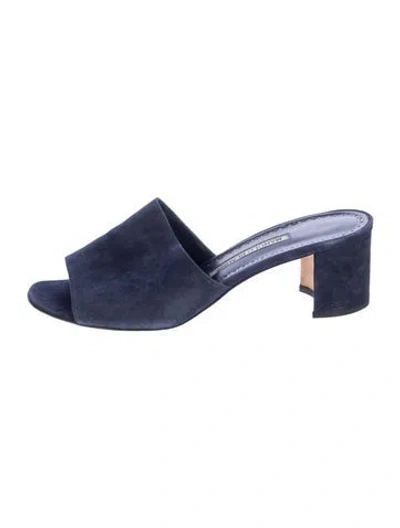 Pre-owned Manolo Blahnik Suede Slides In Blue