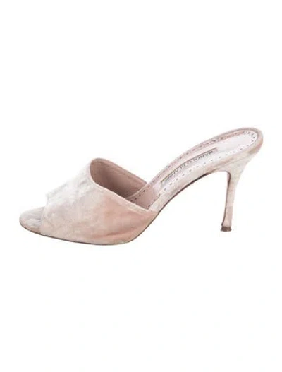 Pre-owned Manolo Blahnik Suede Slides In Neutral
