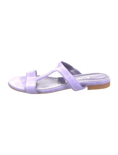 Pre-owned Manolo Blahnik Suede Slides In Purple