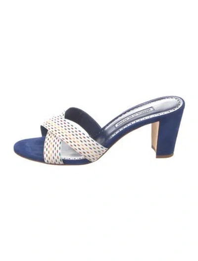Pre-owned Manolo Blahnik Suede Striped Slides In Blue