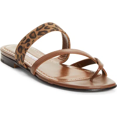 Manolo Blahnik Susa Crossover Sandal In Brown