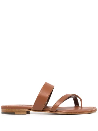 Manolo Blahnik Susacru Crossover Slide Flat Sandals In Brown Calf Leather In Blue