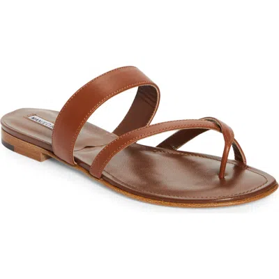 Manolo Blahnik Susa Sandal In Brown