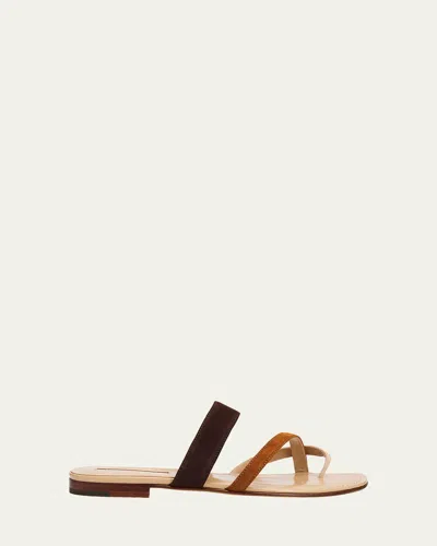 Manolo Blahnik Susa Suede Crisscross Flat Sandals In Brown