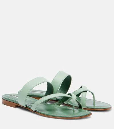 Manolo Blahnik Susaflat Leather Thong Sandals In Multi