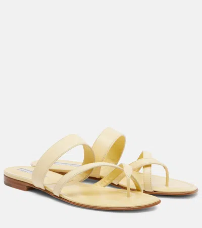 Manolo Blahnik Susaflat Leather Thong Sandals In Multi