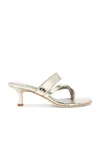 Manolo Blahnik Susaperf 50 Sandal In Gold
