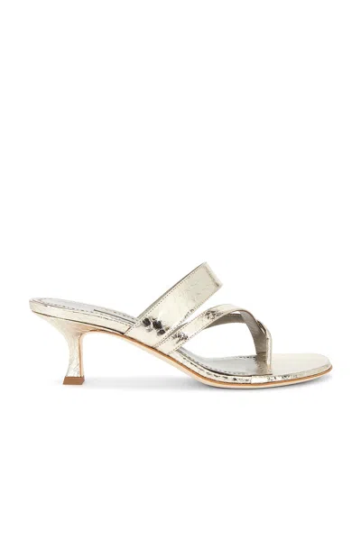 Manolo Blahnik Susaperf 50 Sandal In Gold