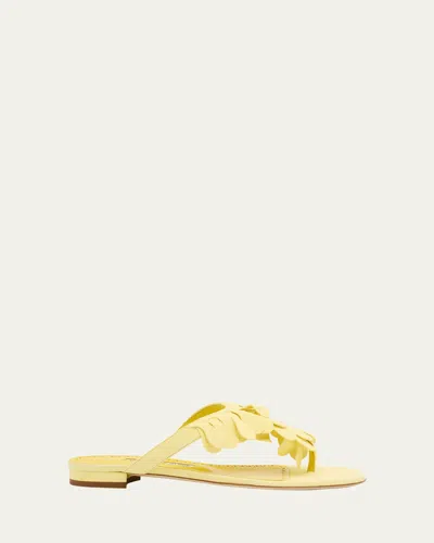 Manolo Blahnik Tamako Suede Flat Sandals In Yellow
