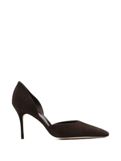 Manolo Blahnik Taylernu Pointed-toe Pumps In Brown