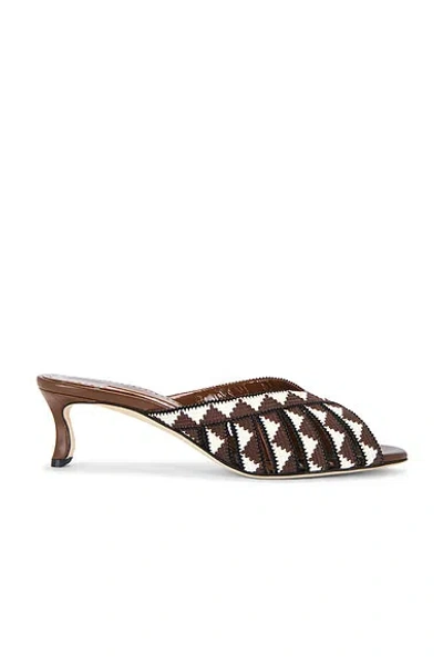 Manolo Blahnik Trofesamu 50 Sandal In Brown