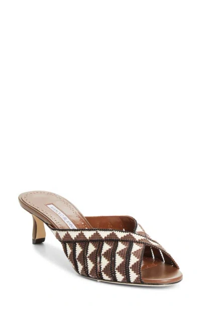 Manolo Blahnik Trofesamu Slide Sandal In Multi