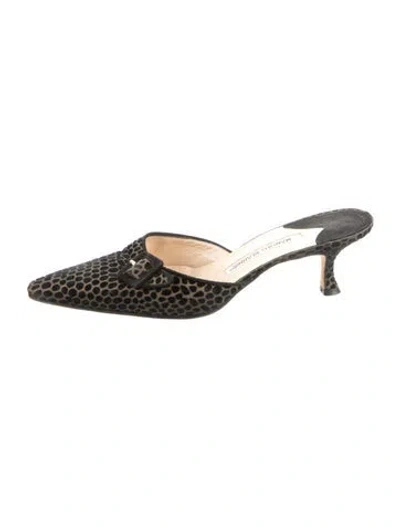 Pre-owned Manolo Blahnik Velvet Animal Print Mules In Black
