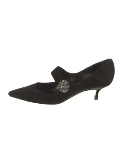 Pre-owned Manolo Blahnik Verna Suede Pumps In Black