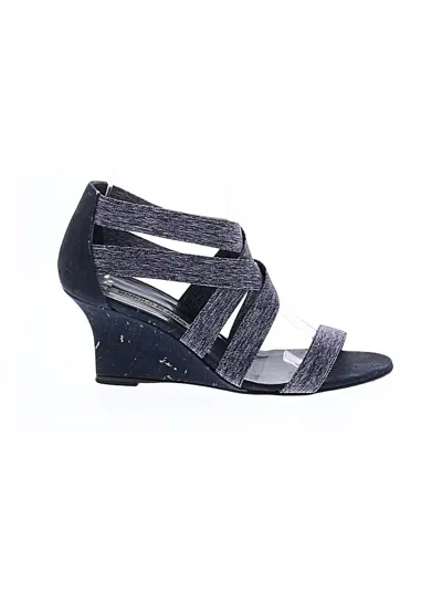 Pre-owned Manolo Blahnik Wedges In Blue