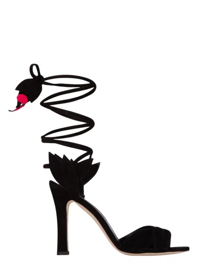 Manolo Blahnik Women's Heel Shoes