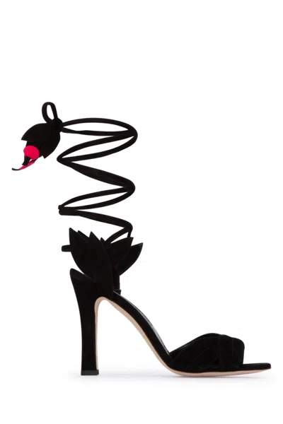 Manolo Blahnik Women Scarpe Con Tacco In Black