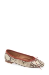 Mansur Gavriel Ballet Flat In Multi
