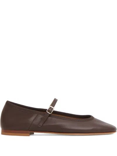 Mansur Gavriel Buckle-strap Leather Ballet Flats In Brown