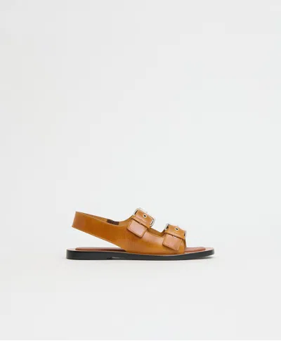 Mansur Gavriel Cintura Sandal In Brown