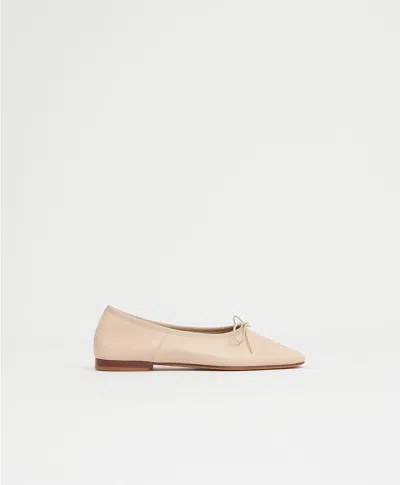 MANSUR GAVRIEL DREAM BALLERINA