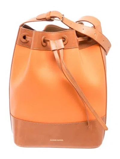 Pre-owned Mansur Gavriel Leather Bucket Bag In Brown