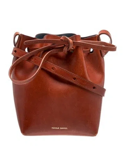 Pre-owned Mansur Gavriel Leather Bucket Bag In Orange