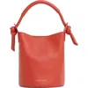 Mansur Gavriel Mini Mini Fortuna Bucket Bag In Pattern